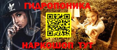 apvp Канаш