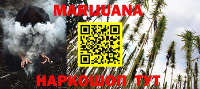 apvp Канаш